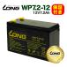 LONG стандартный обращение . магазин WP7.2-12 UPS 12V7.2Ah аккумулятор с гарантией .APC Smart-UPS аккумулирование электроэнергии контейнер для аккумулятор GS Yuasa RE7-12 Panasonic Hitachi 