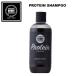 �yDENIS/�f�j�X�z�hPROTEIN SHAMPOO/�v���e�C�� �V�����v�[�h(290ml)  MADE IN TOKYO �n���R�V��^���͋����X�^�C�����O��������I�����Y ���f�B�[�X