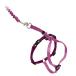 PetSafe( pet safe ) Easy walk cat for Harness &amp; bungee Lead (L,da stay rose )