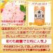 �p�v���J���I�i �h�C�c�`���� �n�[�u �X�p�C�X �{���j�A�\�[�Z�[�W �֘A�摜3
