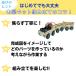 �H��L�b�g �؍H ����L�b�g ���w�����y���߂� ���{������� ��������t�� 3�A�g���C�� �֘A�摜5
