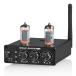 Mini P6-Mini 6A2 Bluetooth 5.0 вакуумная трубка предусилитель динамик ресивер стерео предусилитель USB плеер 