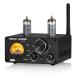 DOUK AUDIO ST-01 6K4 HiFi Bluetooth 5.0 ламповый усилитель USB DAC COAX OPT цифровой аудио усилитель VU измерительный прибор имеется 