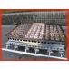 �����Ă��� �Ɩ��p ���� 3�A96�� �W�����{�^�R���L 50mm�� ���� ���� �o�X �v���p���K�X 700�~480�i+�K�X�ǁj�~210mm �~�[�@��