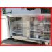 �Ⓚ�①�� �Ɩ��p �䉺 �e�[�u���` 2�h�A 1���Ⓚ 2021�N�� �z�V�U�L RFT-150SNG-1 1500�~600mm 310L �������� �~�[�� ���×Ǖib �֘A�摜2
