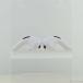 �k���ÁlApple(�A�b�v��) AirPods Pro ��1���� MWP22J�^A�k377-ud�l