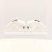 �k���ÁlApple(�A�b�v��) AirPods Pro ��1���� MWP22J�^A�k377-ud�l