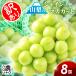  автомобиль in мускат есть перевод Yamanashi 8.( 4kg и больше ) автомобиль in мускат вид нет фрукты фрукты виноград .. Yamanashi префектура дудка дуть город подарок .. бесплатная доставка ваш заказ 