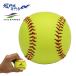  поле сила бейсбол мягкость бейсбол мяч J номер 2 штук входит подросток бейсбол тренировка сопутствующие товары мяч легкий мягкость . безопасность бейсбол начинающий .FIELDFORCE FYK-682Y
