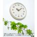 �|�����v �d�g���v �N���[�� ���a30cm ���킢�� �Ǌ|�����v �k�� ������� �������Ȃ� �E�H�[���N���b�N  �؍� �l�C �֘A�摜3