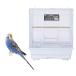 ma LUKA n bird pa отсутствует Basic 40W