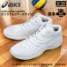 ( анимация ) Asics волейбол обувь uchiyama-sports оригинал цвет V-SWIFT FF 3 средний cut STANDARD белый × серебряный ( наша компания )( почтовая доставка не возможно )