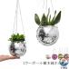  цветочный горшок подвешивание ниже 20cm висячий цветок pot висячий корзина disco мяч висячий посадочная машина круг цепь имеется декоративное растение мужской женский 