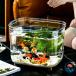 PET материалы часть магазин круглый аквариум золотая рыбка большой размер очень большой размер рептилии жизнь офис многофункциональный краб прозрачный черепаха настольный высота прозрачный аквариум стол аксессуары горшок модный горшок 
