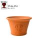  новое поступление [ наличие . немного ]wichi Ford терракота цветочный горшок viola pot 7 номер горшок соответствует Британия производства Whichford VIOLA POT