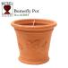 wichi Ford терракота цветочный горшок бабочка pot бабочка 5.5 номер соответствует Англия производства Whichford BUTTERFLY POT