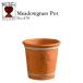 wichi Ford терракота цветочный горшок medougla спот 5.5 номер горшок соответствует Англия производства MEADOWGRASS POT