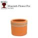 wichi Ford терракота цветочный горшок гиацинт цветок pot 3.5 номер горшок соответствует Британия производства Whichford HYACINTH