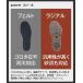 �v���b�N�X(2023���f��) �e�t�����|���G�X�e���E�F�_�[�q�b�v/�t�F���gPX3352 �֘A�摜2