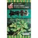 .. лист чай 32P5 коробка чай для зоровья 