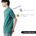 �t���b�h�y���[ �|���V���c �|�� M3600  ���K�̔��X Fred Perry �t���b�h �y���[ ���j�Z�b�N�X �����Y ���f�B�[�X �M�t�g �g���b�h �֘A�摜4
