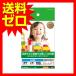 エレコム 光沢写真用紙 / 光沢紙厚手 / L判 / 100枚 EJK-GANL100 【送料無料】