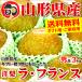 お歳暮 ギフト 洋梨 遅もぎラ・フランス 3kg 秀品 山形県産 梨 西洋梨 果物 贈り物 贈答 送料無料 お取り寄せ
ITEMPRICE