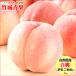 [8 month on . from sequential shipping expectation ] Yamagata prefecture production . home use .. white peach 3kg( less sack cultivation / sphere number incidental )* date designation is with mail *