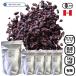  иметь машина low kakaonib1kg×5 пакет для бизнеса органический иметь машина JASpe Roo производство низкотемпературный обработка raw без добавок kakao100% super капот vi - gun 
