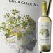  Suntory солнечный ta калории naso- vi niyon Blanc re cell va750ml бутылка ×1 кейс ( все 1 2 шт ) бесплатная доставка 