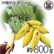 сейчас .. время ограничено Okinawa префектура производство серебряный banana примерно 800g Okinawa земля производство banana природа культивирование ( химия удобрение * пестициды не использование )