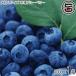 [ лес. сапфир ] крупный L размер рефрижератор голубика 500g×1P крупный ..ju-si-