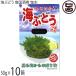 Nankoku sake . море виноград 50g×10 коробка mek Inter National Okinawa префектура производство 