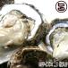 ... .... Pro тонн ..M размер 5 листов ввод .. время . Pro тонн .. Япония море ... рыба клуб Shimane морепродукты популярный роскошь таурин 