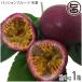  Okinawa prefecture production passionfruit freezing approximately 1kg 13~16 sphere ×1 box sun child agriculture .