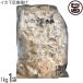  кальмар внизу пара Tang ..1kg×1 пакет waktof-z