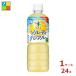 �A�T�q ���������� �V�R�� �\���e�B�O���t�� �O���[�v�t���[�c600ml�~1�P�[�X�i�S24�{�j��������