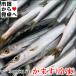  серп кама . маленький ( рефрижератор ) 1kg[ Sagami . Odawara производство ].. длина . внезапный скорость рефрижератор, небо ..* fly *. есть, соль . и т.п. [ рефрижератор рейс ]