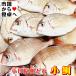  маленький морской лещ chi большой ( рефрижератор )5kg[ Sagami . Odawara производство ].. длина . внезапный скорость рефрижератор,..., уксус. предмет, круг высушенный .[ рефрижератор рейс ]