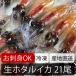 カネツル砂子商店 冷凍生ほたるいか 21尾 ホタルイカ 刺身・しゃぶしゃぶにも 富山 お取り寄せ 【冷凍】