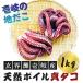 AA... земля осьминог ... . из ..... производство натуральный Boyle подлинный dako2 шт (1kg~1.2kg) включая доставку ( Hokkaido * Okinawa. доставка отдельно )