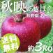  яблоко 3kg 9~12 шар осень ..... Nagano префектура название месяц . бесплатная доставка .. товар ваш заказ 