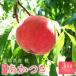  подарок на Bon Festival *... Fukushima производство персик превосходящий товар .. есть примерно 3kg( примерно 10~13 шар )[ бесплатная доставка ] Fukushima производство персик .. Momo 