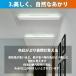 �V�[�����O���C�g ���` �L�� �o���R�j�[���C�g LED �k�� �Ɩ���� ���_�� �V��Ɩ� �d�C �Q�� �Ɩ� �_�C�j���O �H�� ���r���O �Ɩ� ���ԃ��C�g �������F LED�Ή� �֘A�摜4