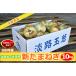 ( free shipping ) Awaji Island production new onion 10kg... confident!!..... Awaji Island .. shipping!!
