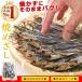 鹿児島県産 焼きめざし お徳用 240g (80g×3個入り) 無添加[送料無料][干物][焼めざし]［イワシ］
ITEMPRICE