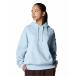 официальный Under Armor UNDER ARMOUR UA UA соперник флис большой размер do тянуть надкрылок -ti-( тренировка |WOMEN) 6007713