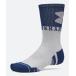  официальный Under Armor UNDER ARMOUR UA UA Performance Tec Novelty носки (3 пар комплект )( тренировка |UNISEX) 6015141
