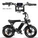 �V�^�@V8 �d���o�C�N ���y�b�g 750W �d���o�C�N 48V15A�� �����@�t���]�� ���t��� �������s�� �ɑ��^�C�� �d���o�C�N �t���d�� �}�E���e���o�C�N ���y�b�h �֘A�摜2