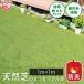  искусственный газон 1m×1m roll Iris o-yama огнестойкий газонная трава сырой защита от сорняков защита от плесени обработка есть двор веранда DIY домашнее животное детский сад уход за детьми . объект огнестойкий защита от сорняков искусственный газон BPB-3011 *